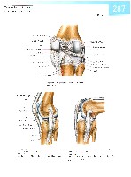 Sobotta  Atlas of Human Anatomy  Trunk, Viscera,Lower Limb Volume2 2006, page 294